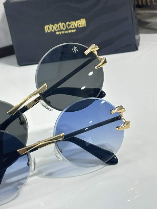 Picture of Roberto Cavalli Sunglasses _SKUfw76146965fw